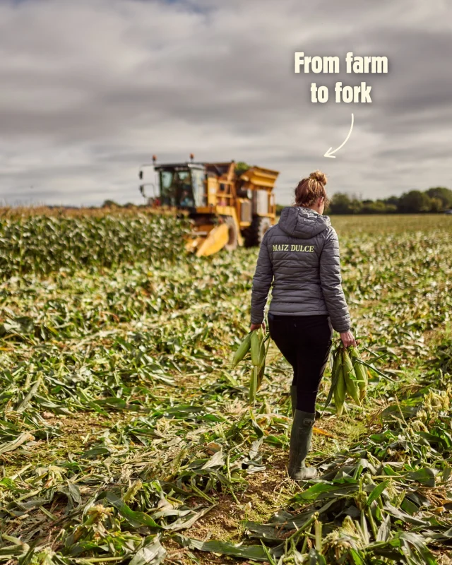 The Freshlock Mission: to prove that fresh veggies (packed with nutrition and flavour) should be easy, accessible, and kind to the planet.

Freshlock sweetcorn is gently pasteurised, extending its shelf life up to 40 days without the need for artificial preservatives or additives. This innovation helps reduce food waste and makes nutritious eating more convenient for you. 💚

Grown with care, enjoyed with ease.🍴