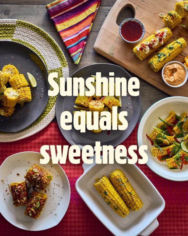 Sunny days and sweetcorn go hand-in-hand! Who is excited for sweetcorn season? Only a few more weeks to go! ☀️

Freshlock was founded on the South Coast, where the unique micro-climate is absolutely PERFECT for corn. The plants absolutely thrive in the ideal growing conditions, which means more flavour! 🌽 Tag a corn-loving friend in the comments.